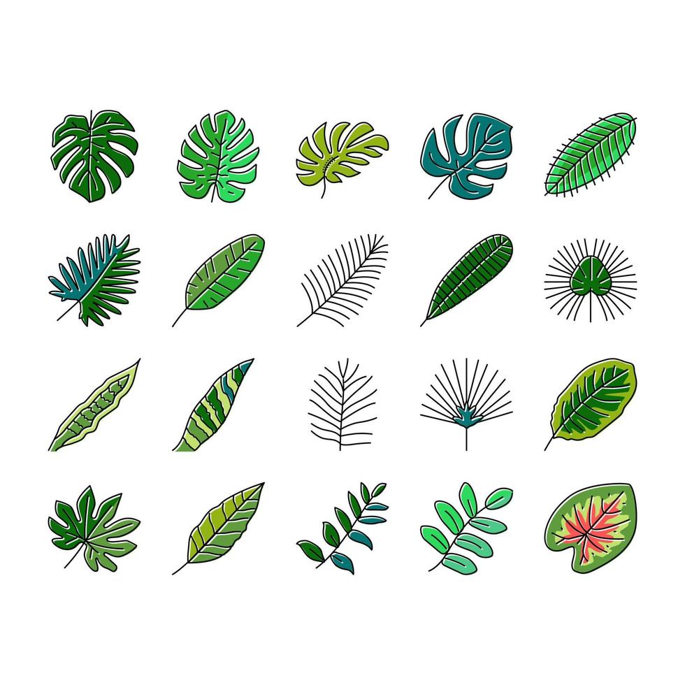 palm leaf summer plant green icons set vector