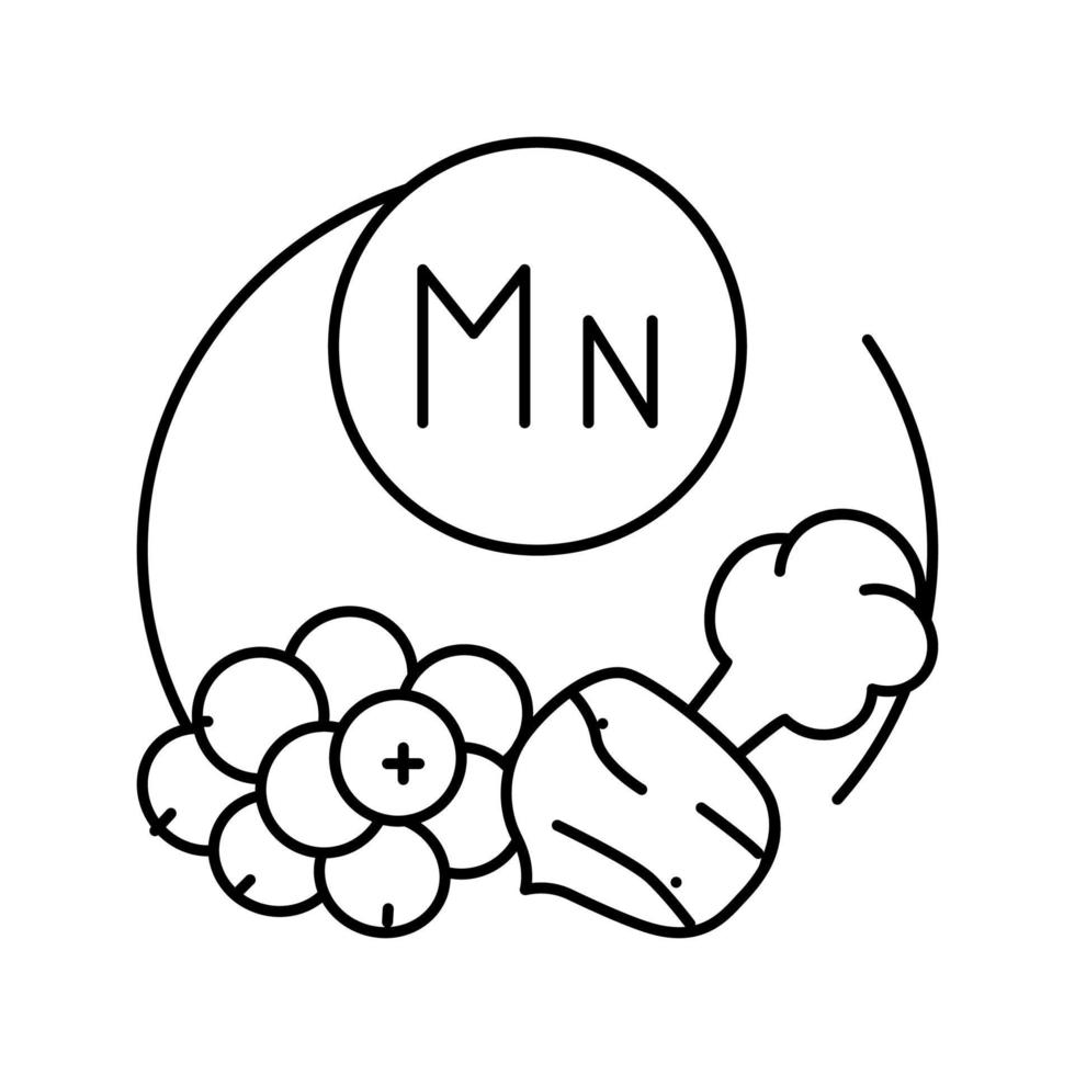 mn vitamin line icon vector illustration