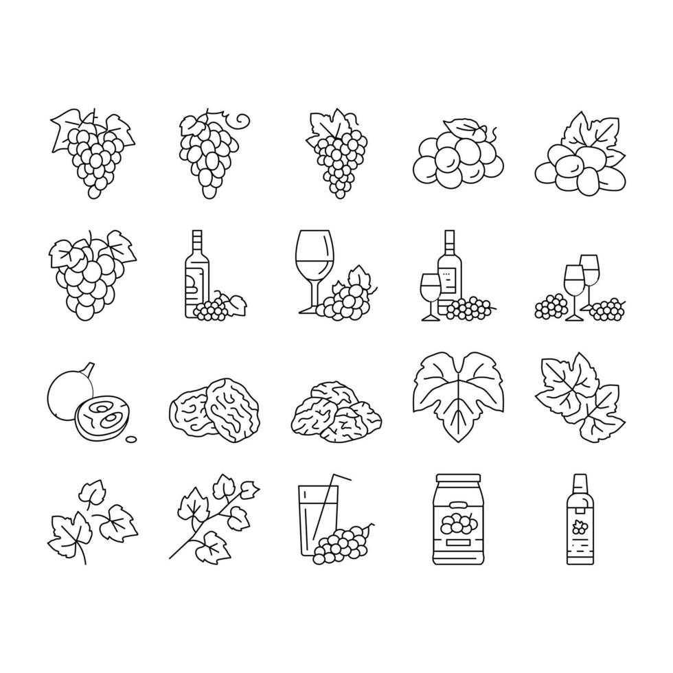 grape wine bunch fruit green icons set vector