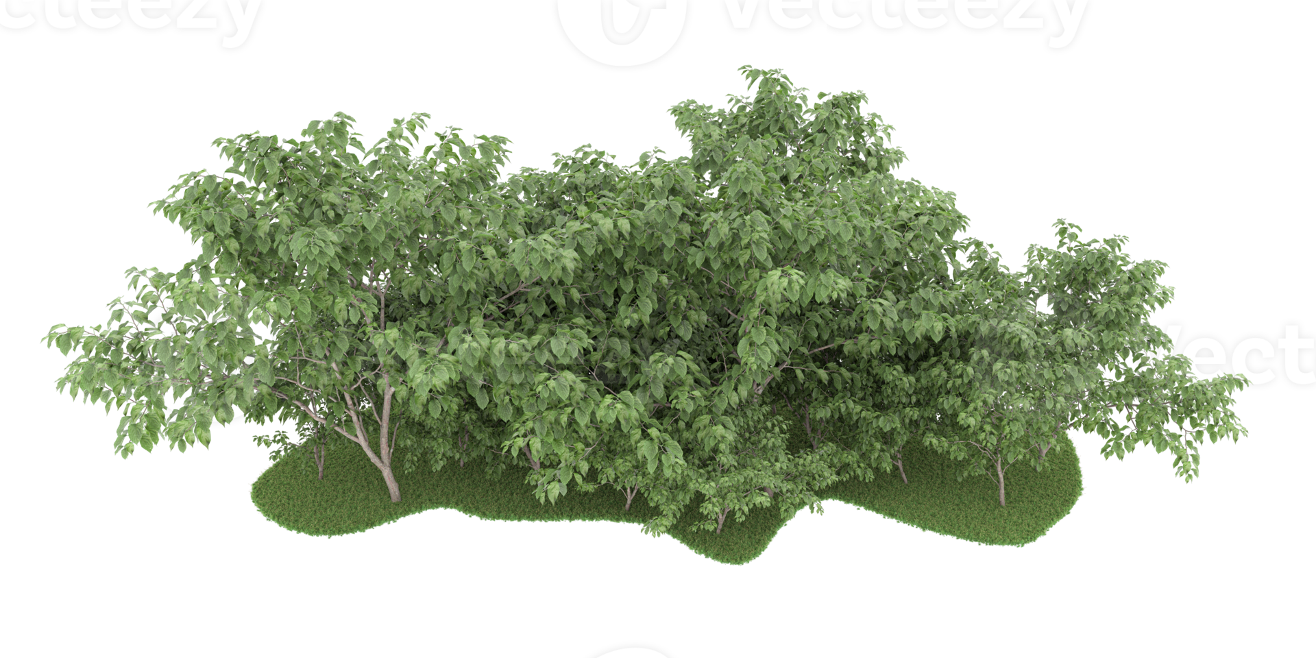 Realistic forest isolated on transparent background. 3d rendering - illustration png