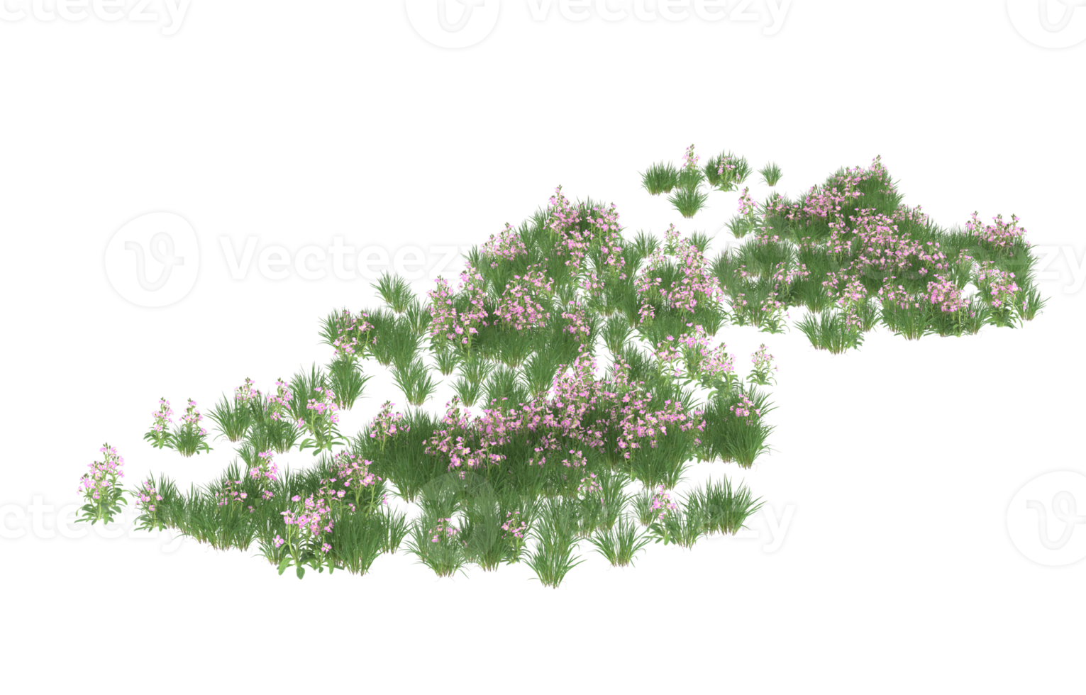Realistic foliage isolated on transparent background. 3d rendering - illustration png