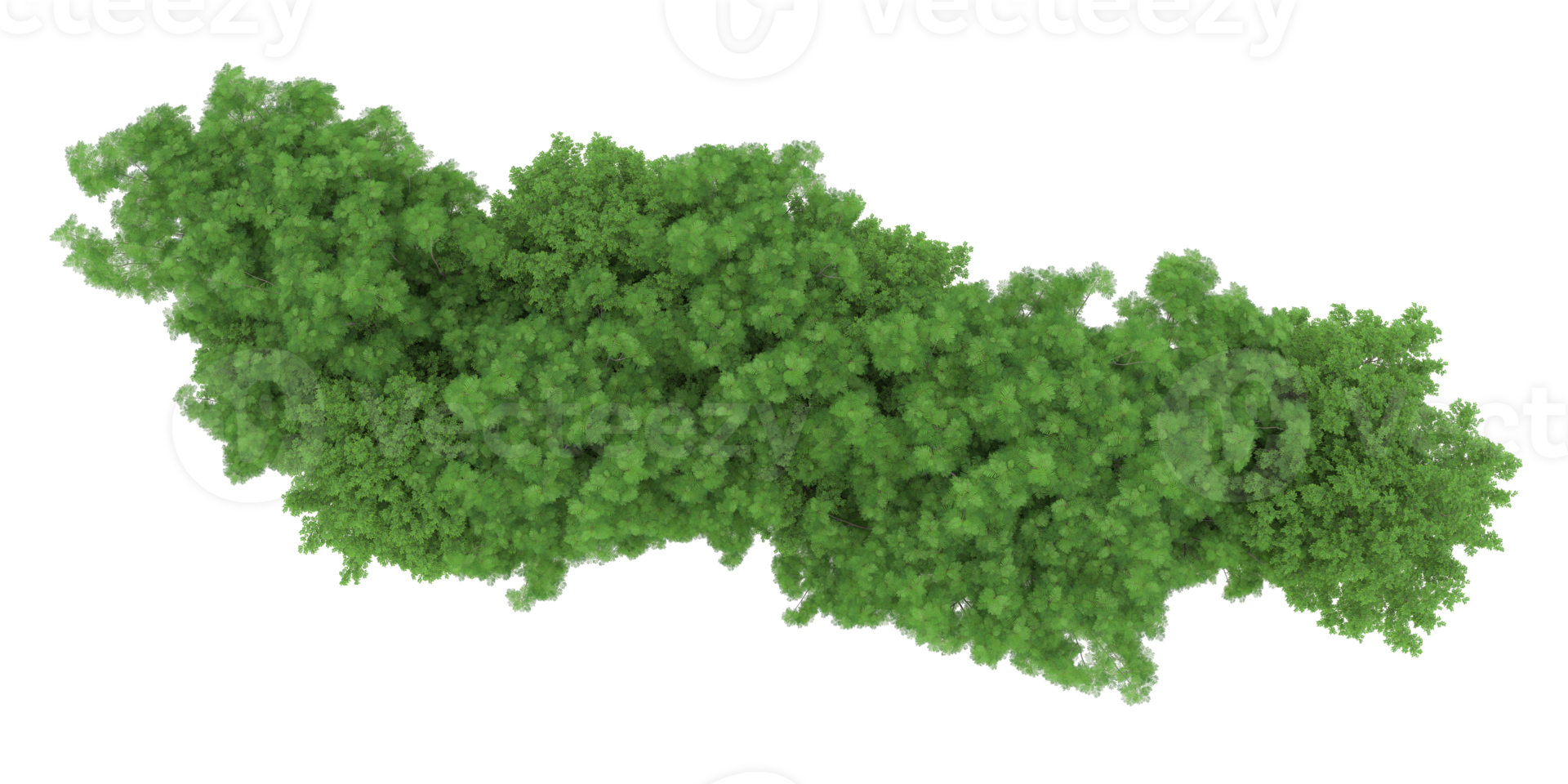 Realistic forest isolated on transparent background. 3d rendering - illustration png