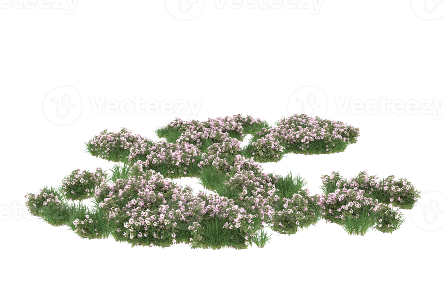 Realistic foliage isolated on transparent background. 3d rendering - illustration png
