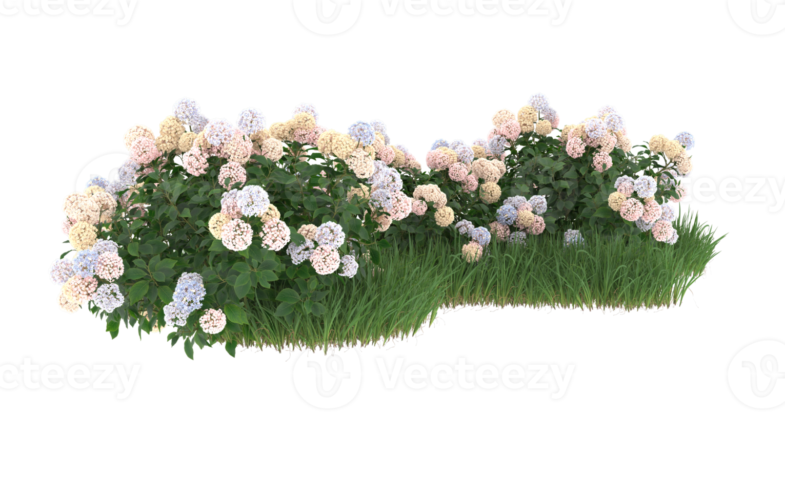 Realistic foliage isolated on transparent background. 3d rendering - illustration png
