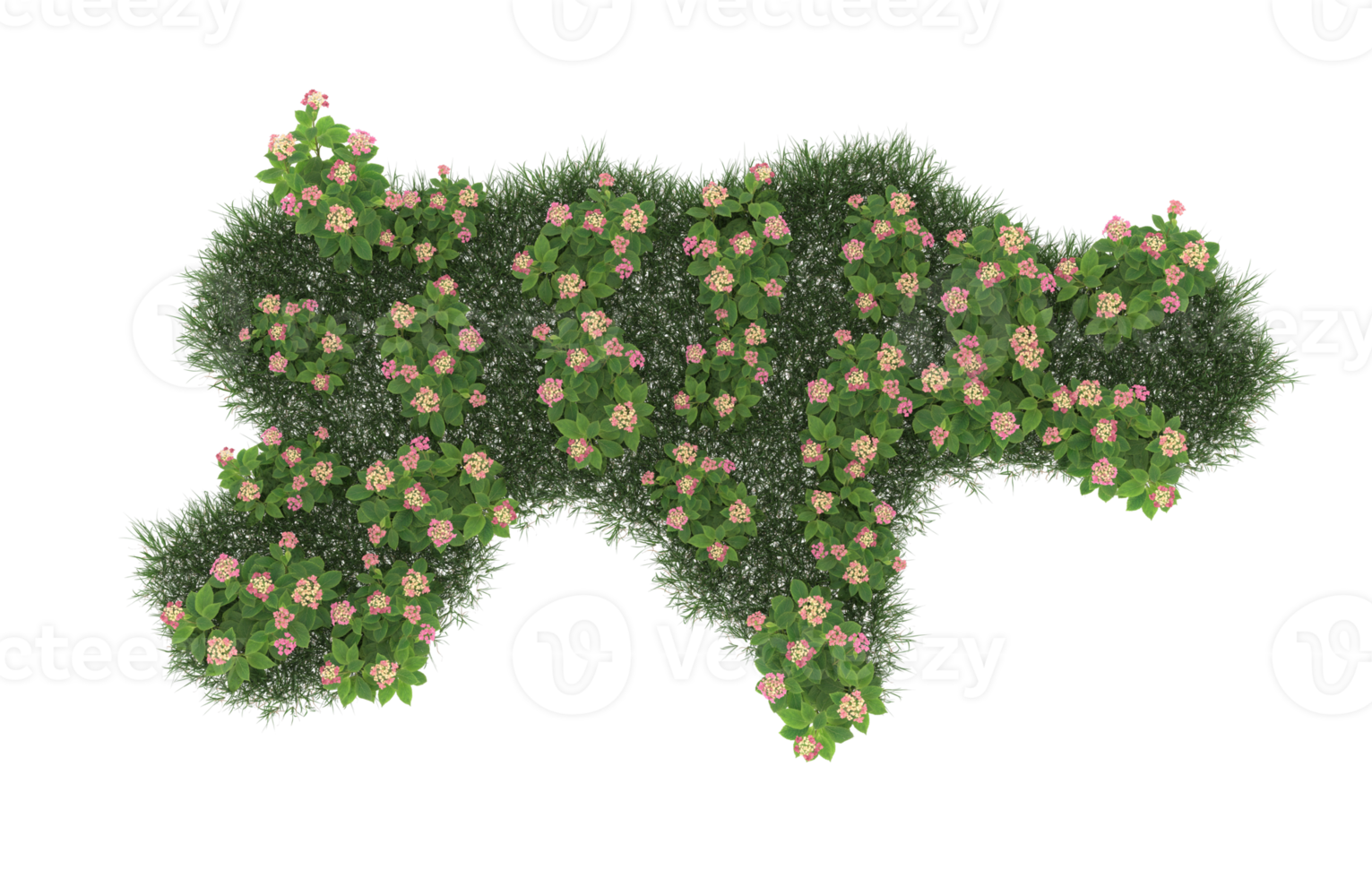 Realistic foliage isolated on transparent background. 3d rendering - illustration png