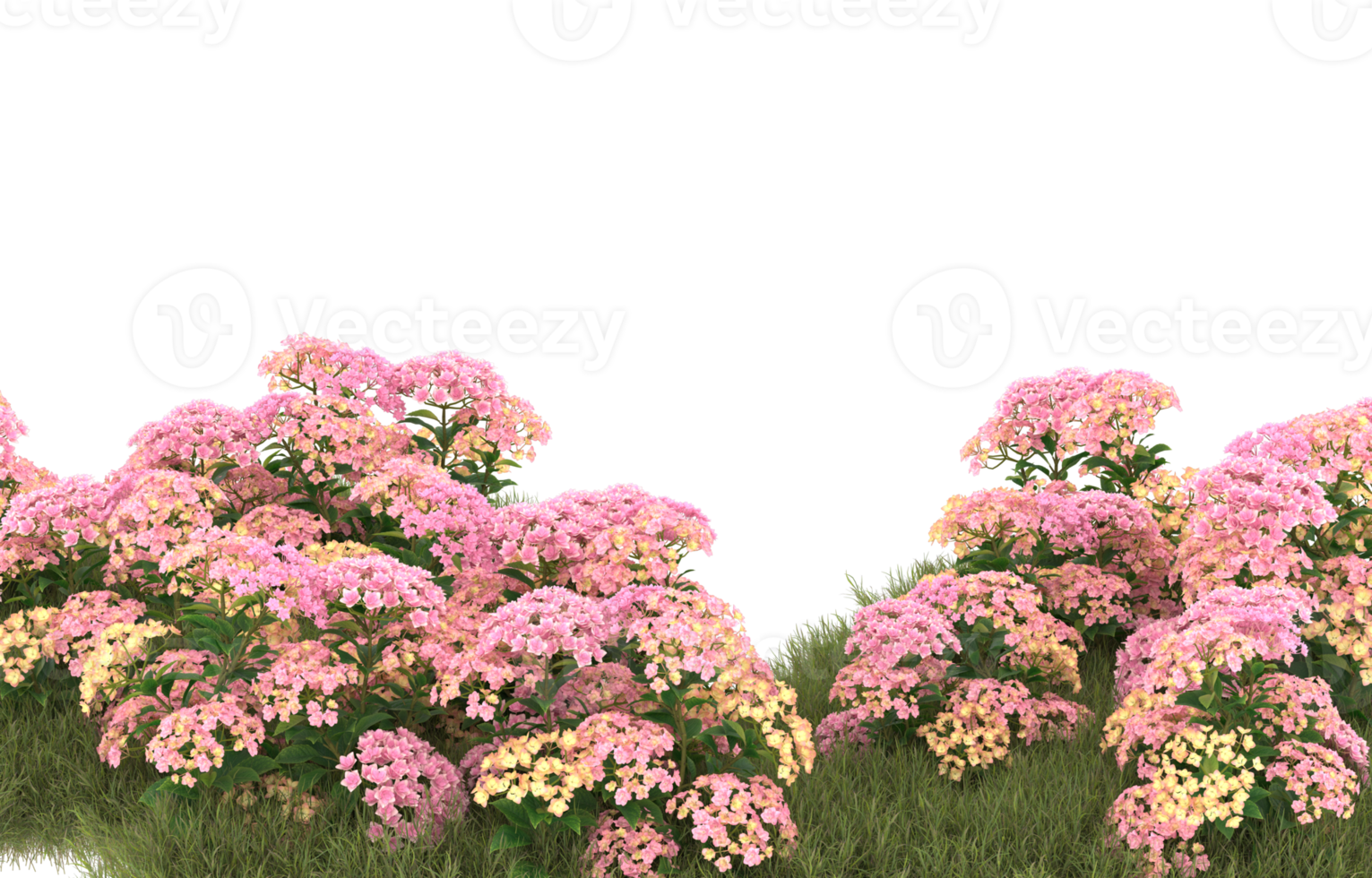 Realistic foliage isolated on transparent background. 3d rendering - illustration png