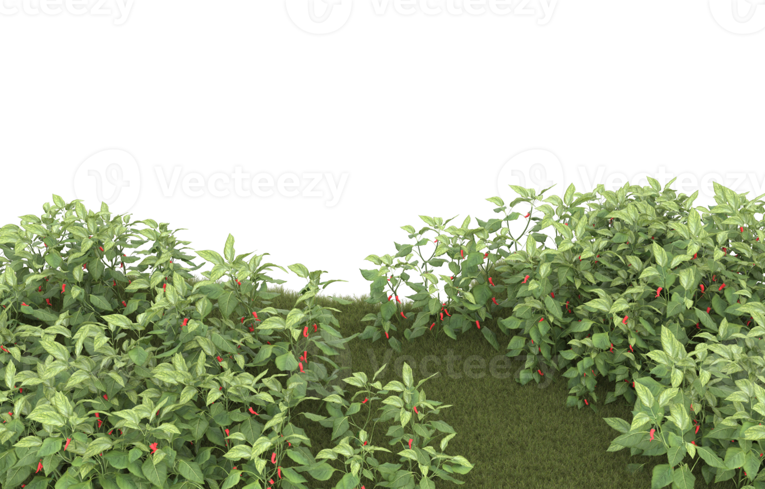 Realistic foliage isolated on transparent background. 3d rendering - illustration png