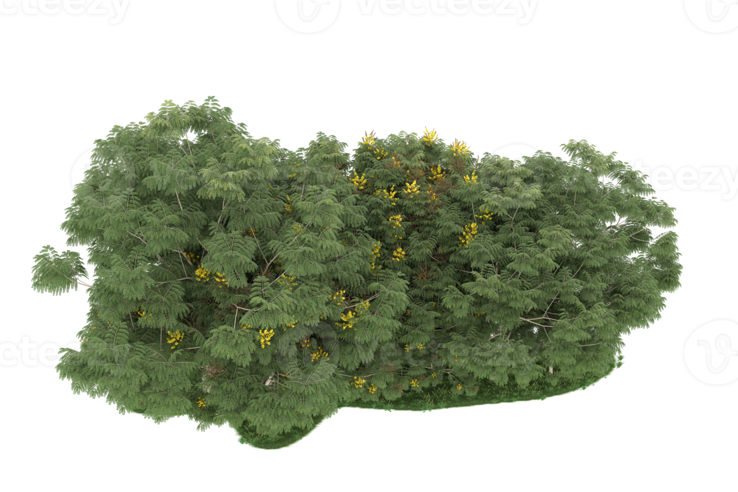 Realistic forest isolated on transparent background. 3d rendering - illustration png