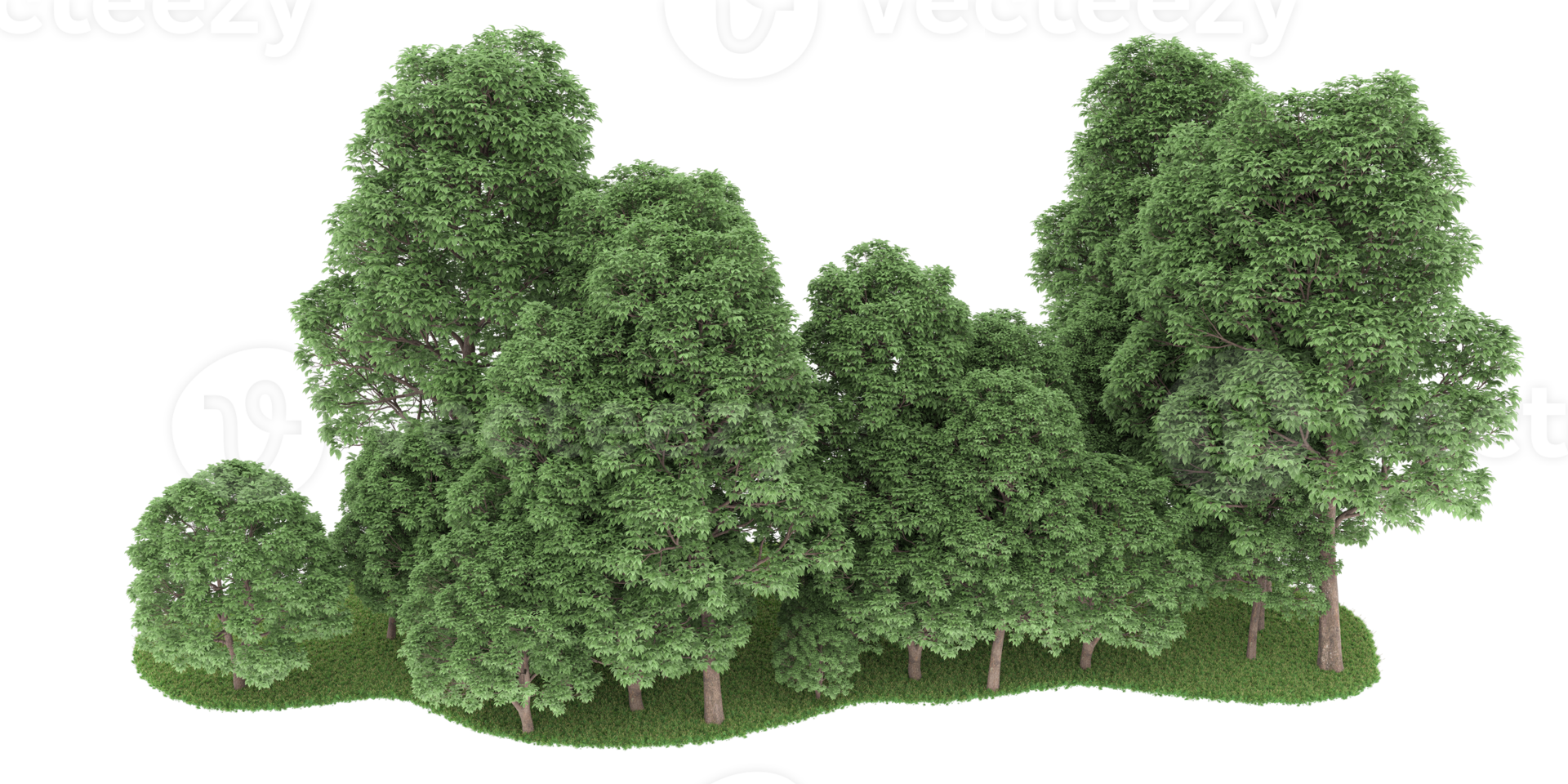 Realistic forest isolated on transparent background. 3d rendering - illustration png