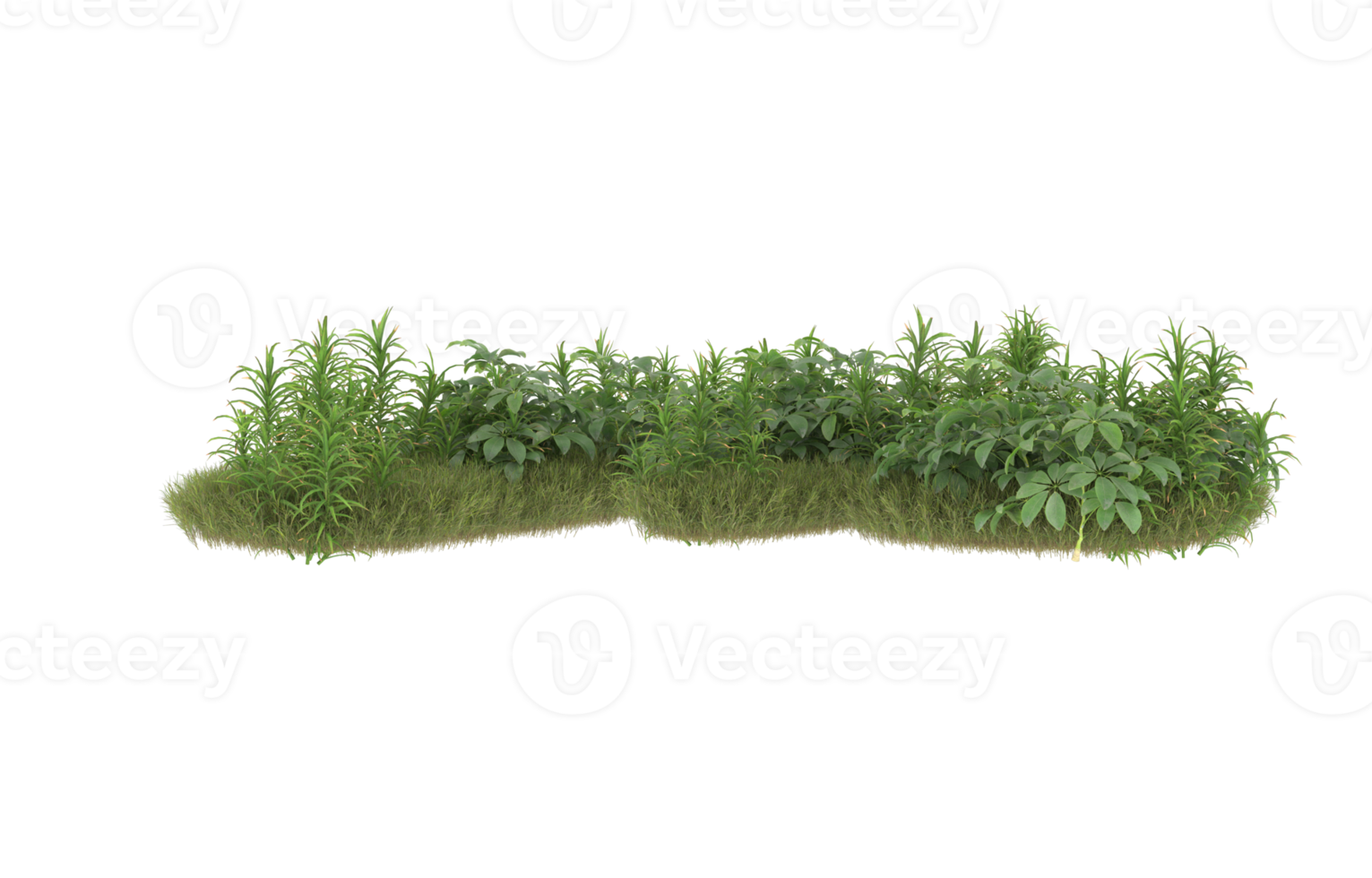 Realistic foliage isolated on transparent background. 3d rendering - illustration png