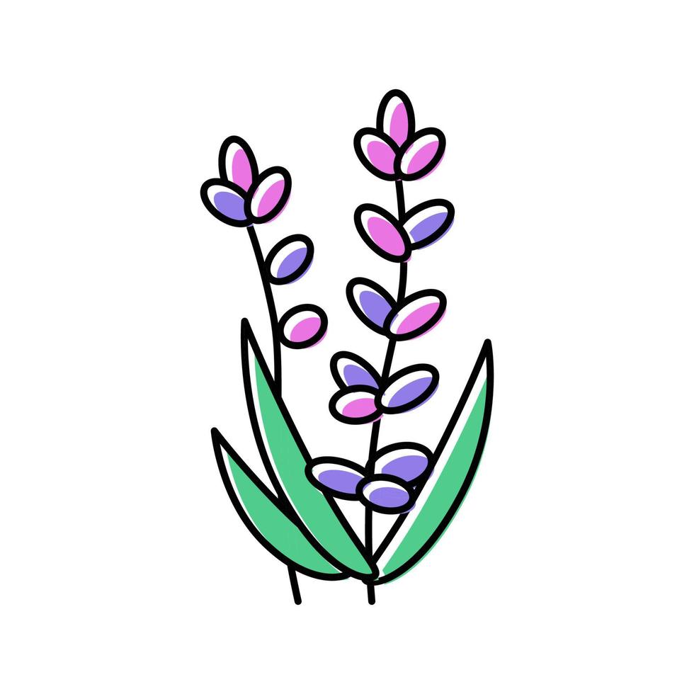 lavender flower aromatherapy color icon vector isolated illustration