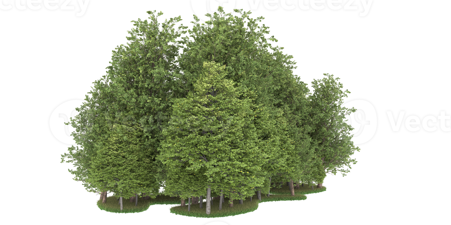 Realistic forest isolated on transparent background. 3d rendering - illustration png