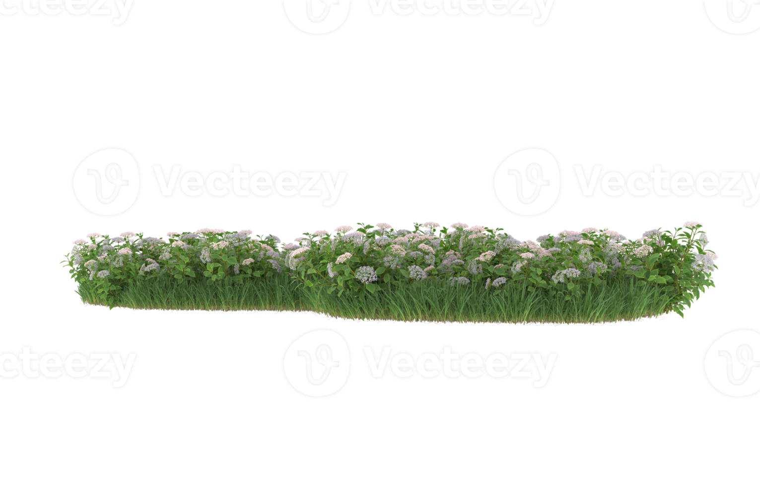 Realistic foliage isolated on transparent background. 3d rendering - illustration png
