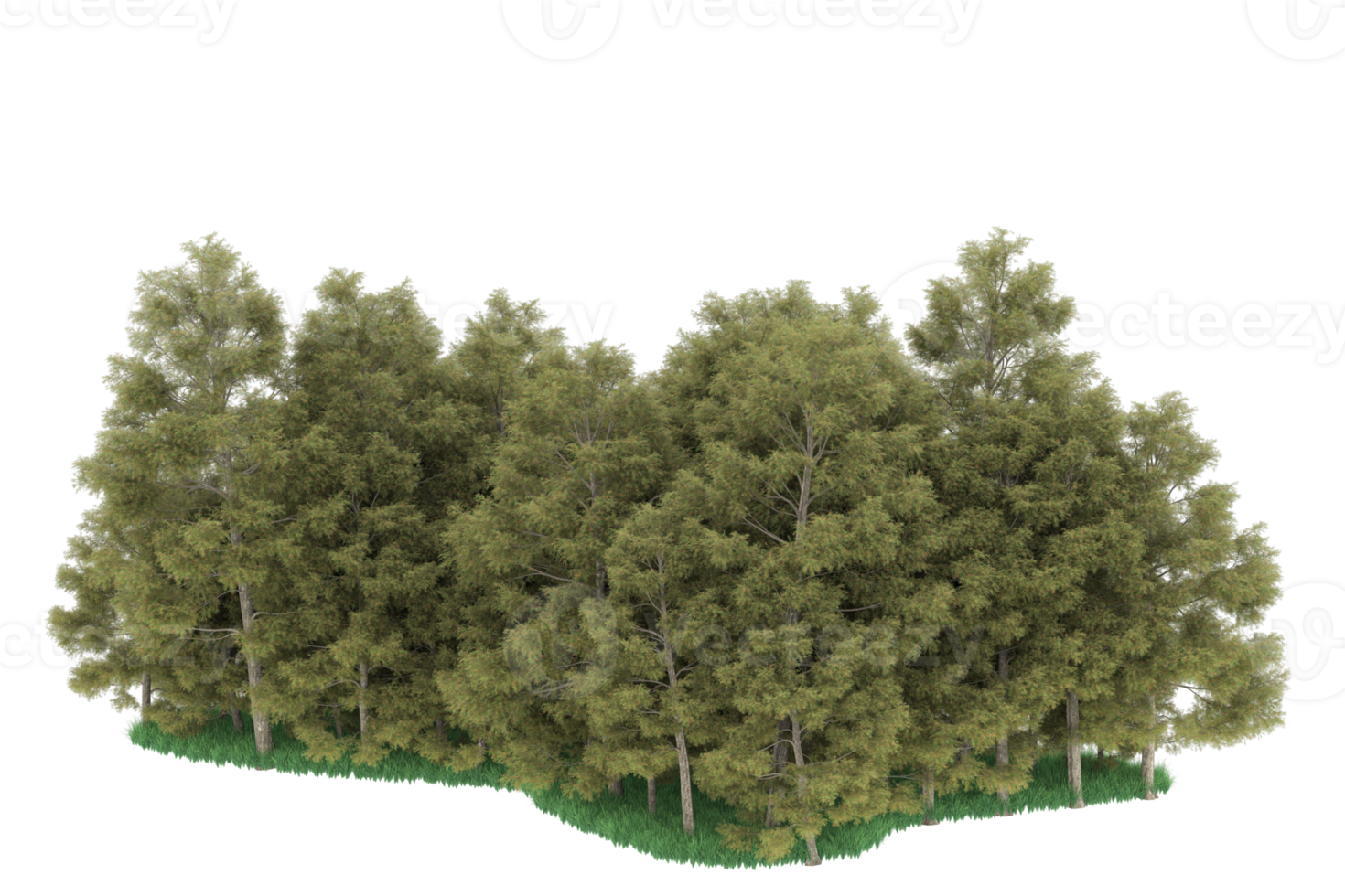 Realistic forest isolated on transparent background. 3d rendering - illustration png