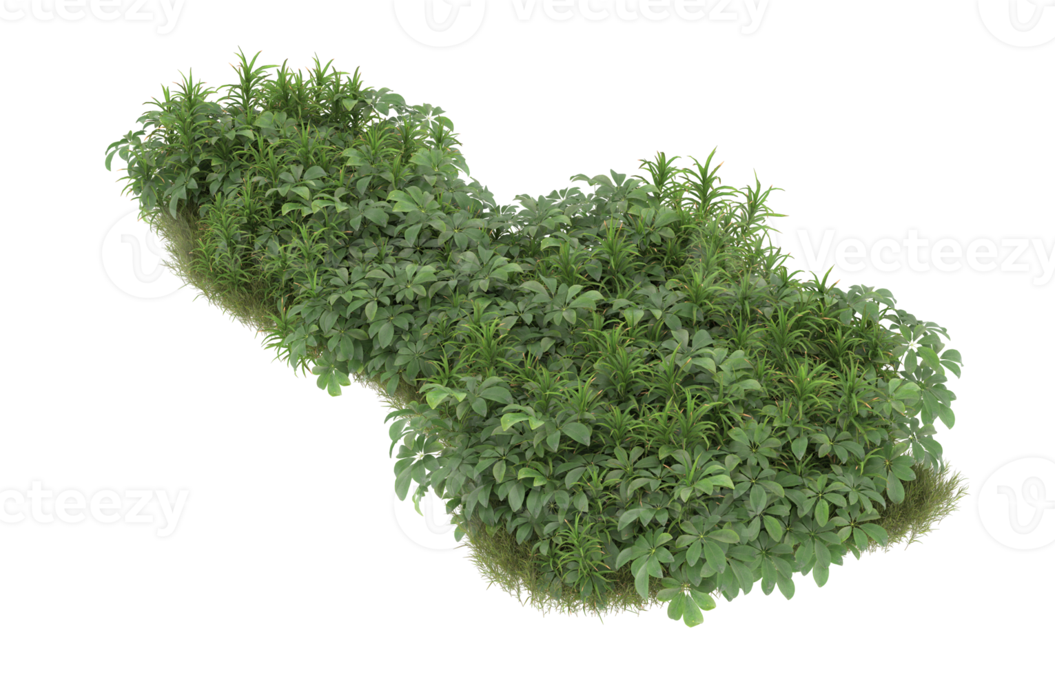 Realistic foliage isolated on transparent background. 3d rendering - illustration png