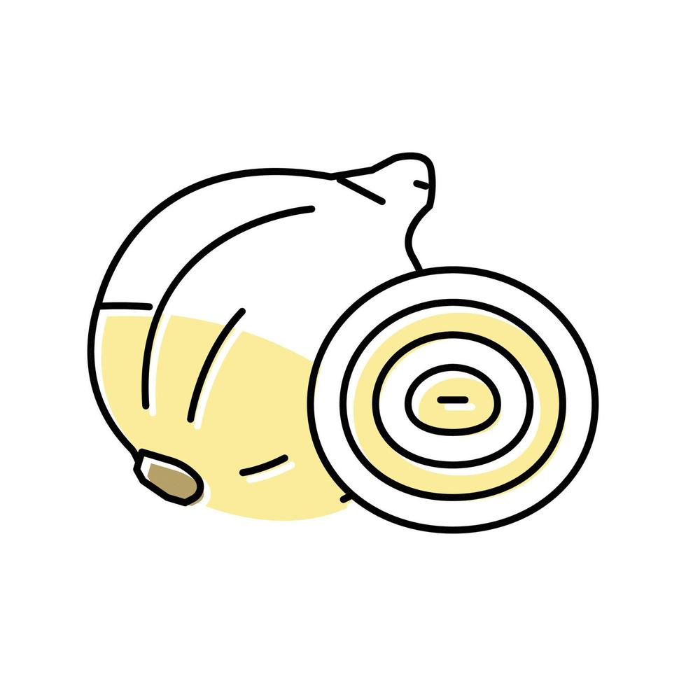 ilustración de vector de icono de color de cebolla blanca