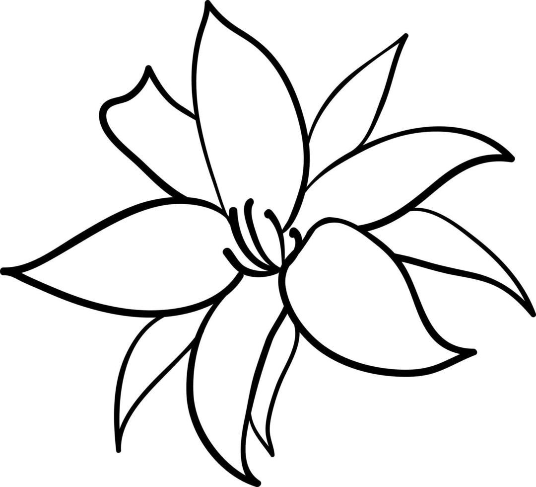 Abstract flower illustration for decoration. vector