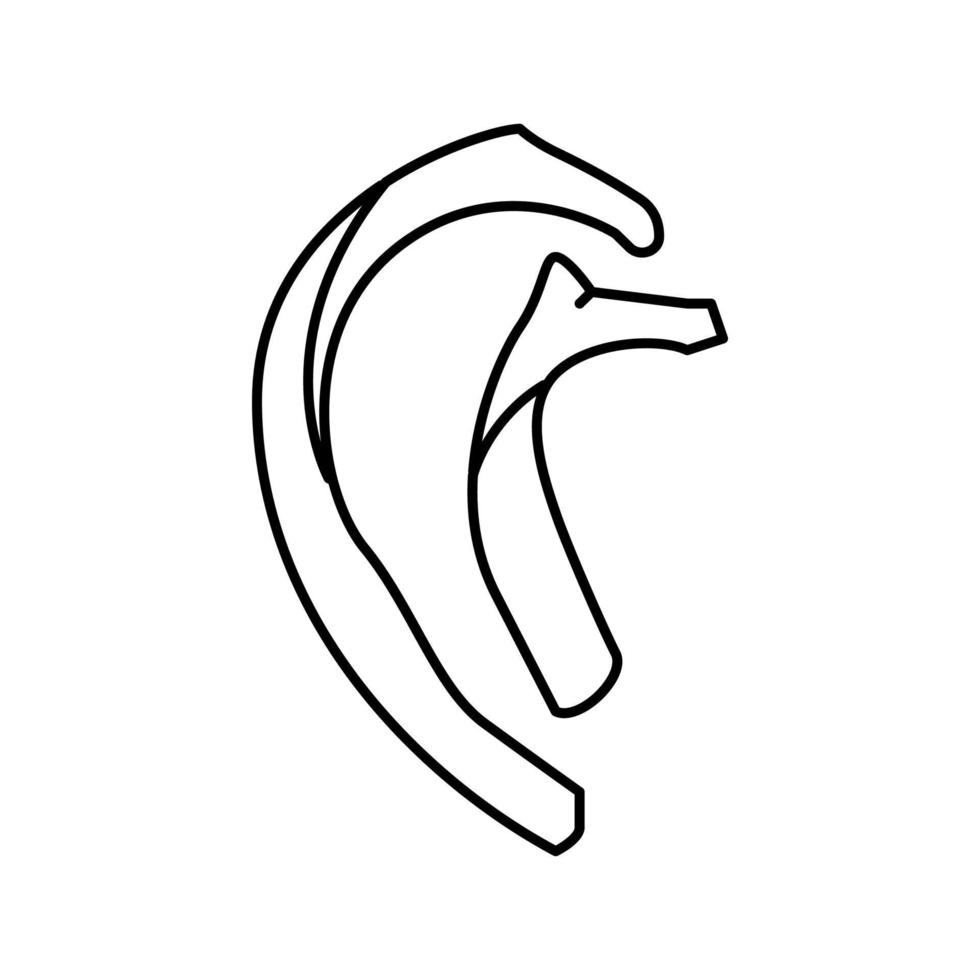 ilustración de vector de icono de línea de hueso de costilla
