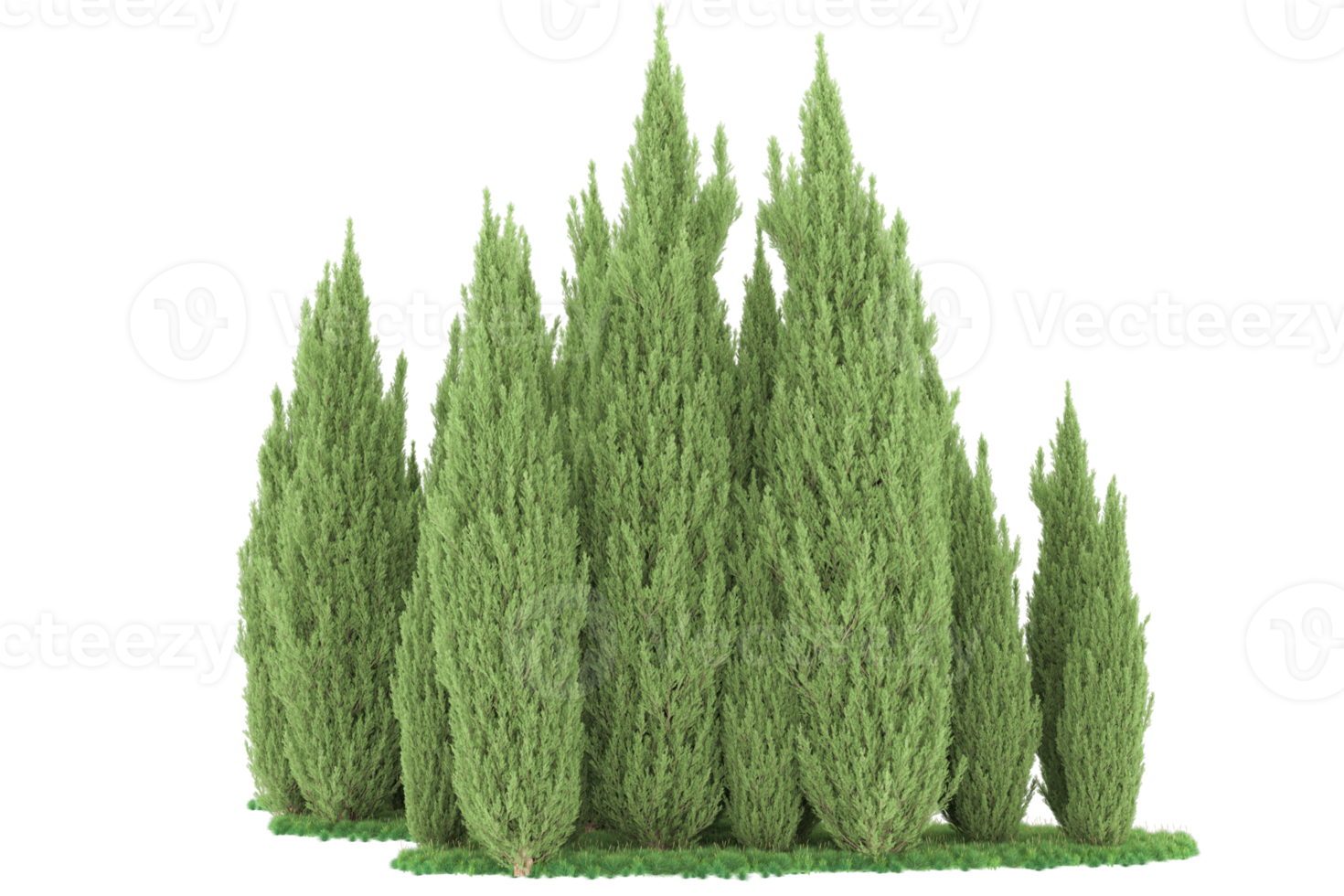 Realistic forest isolated on transparent background. 3d rendering - illustration png