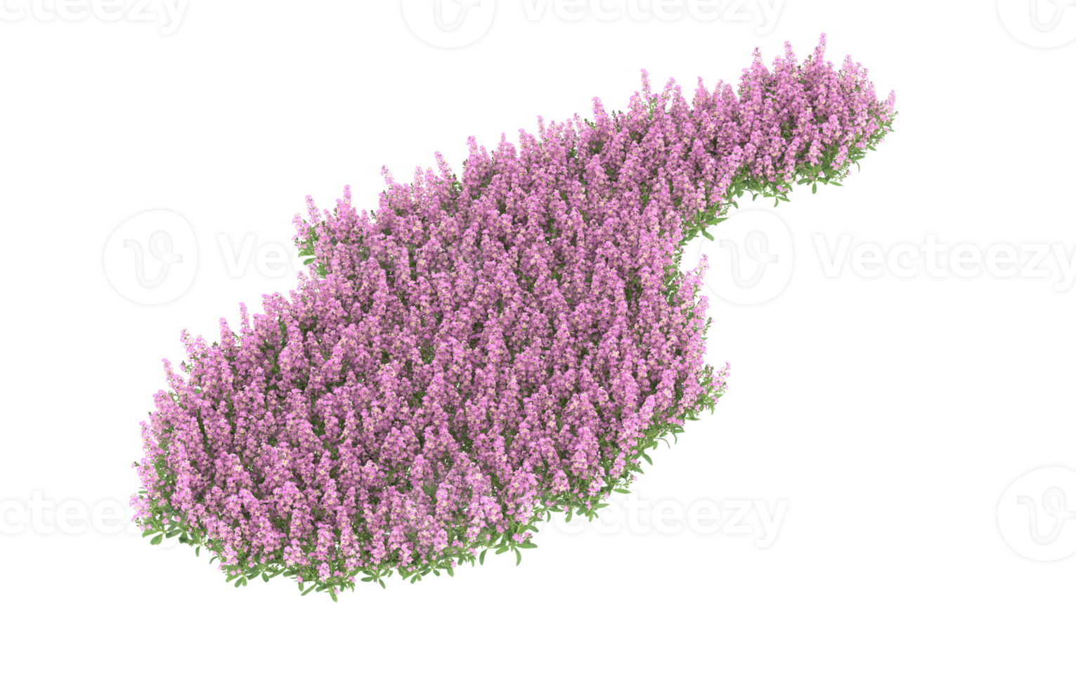 Realistic foliage isolated on transparent background. 3d rendering - illustration png