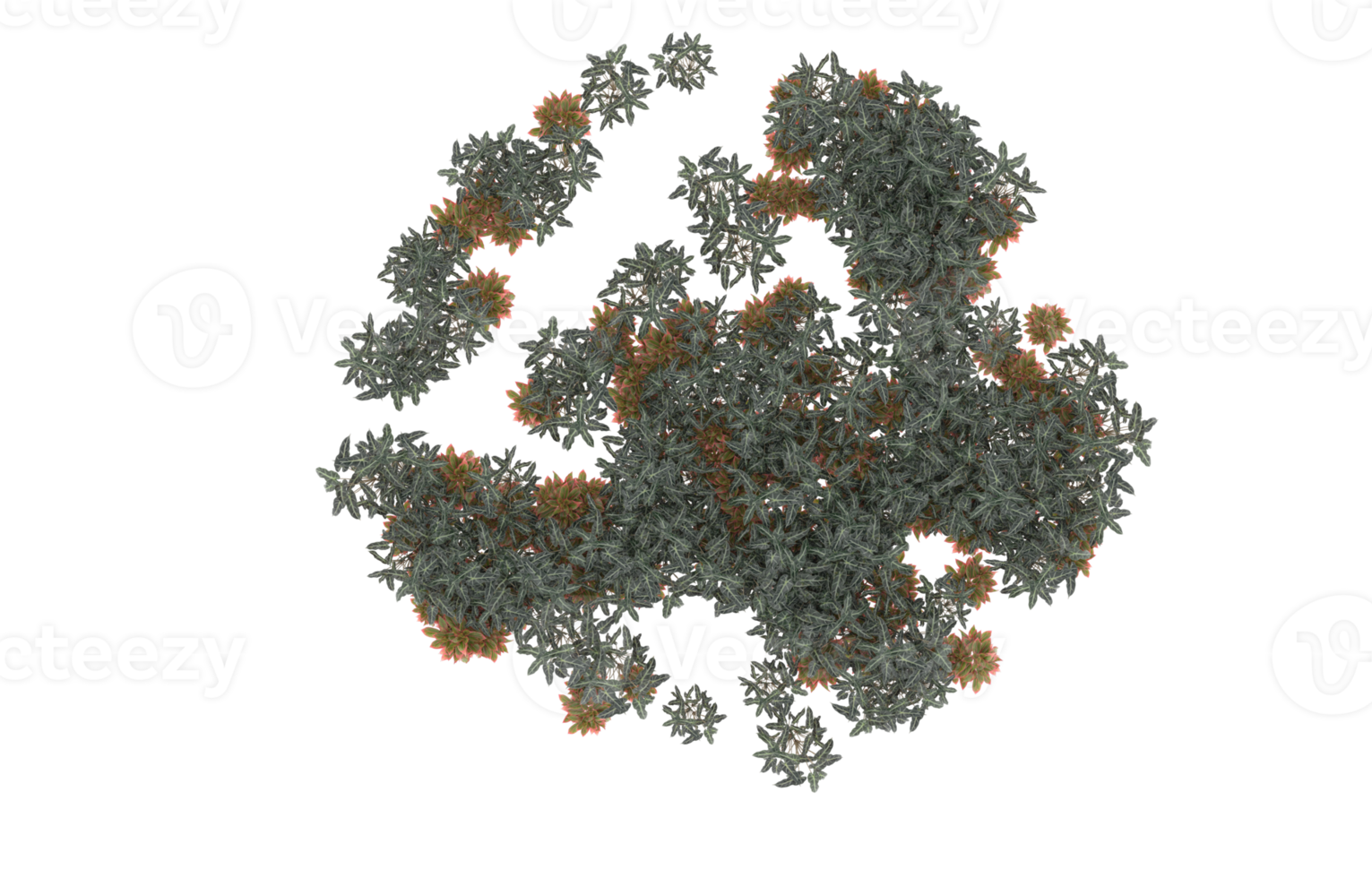 realistisk lövverk isolerat på transparent bakgrund. 3d tolkning - illustration png