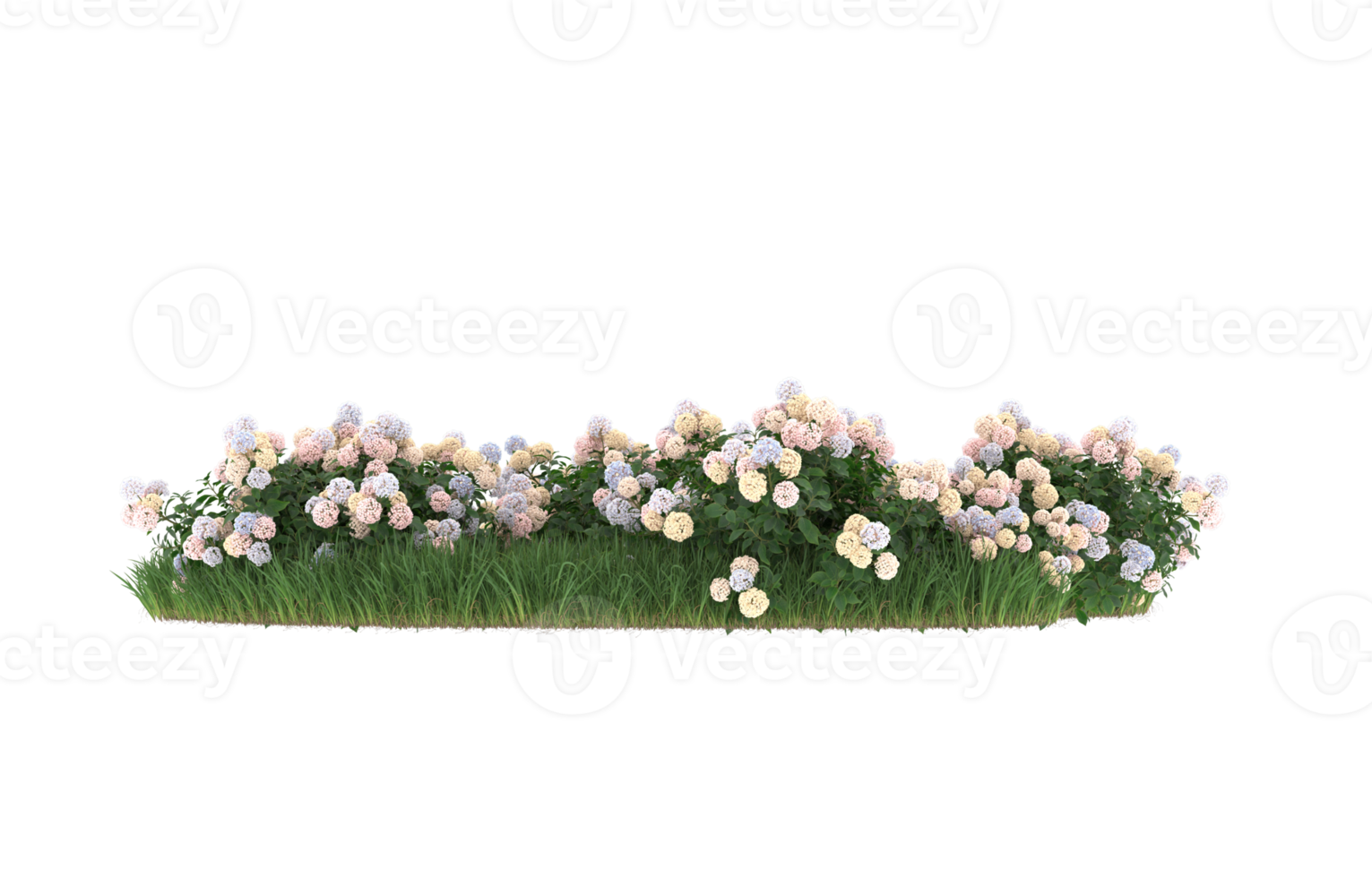 Realistic foliage isolated on transparent background. 3d rendering - illustration png