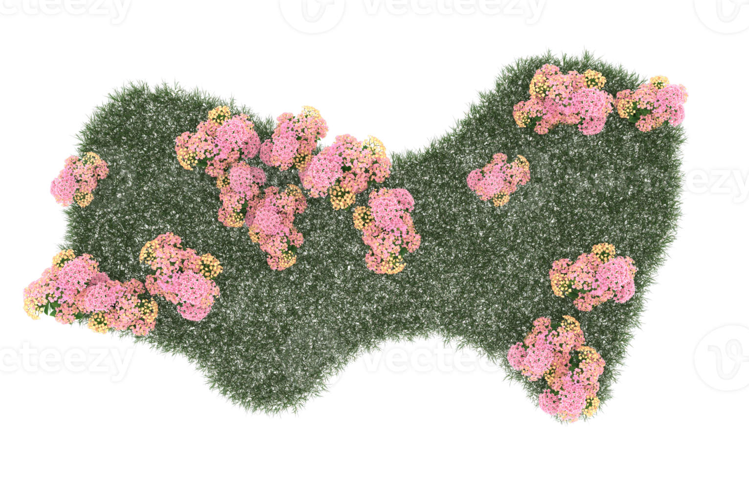 Realistic foliage isolated on transparent background. 3d rendering - illustration png