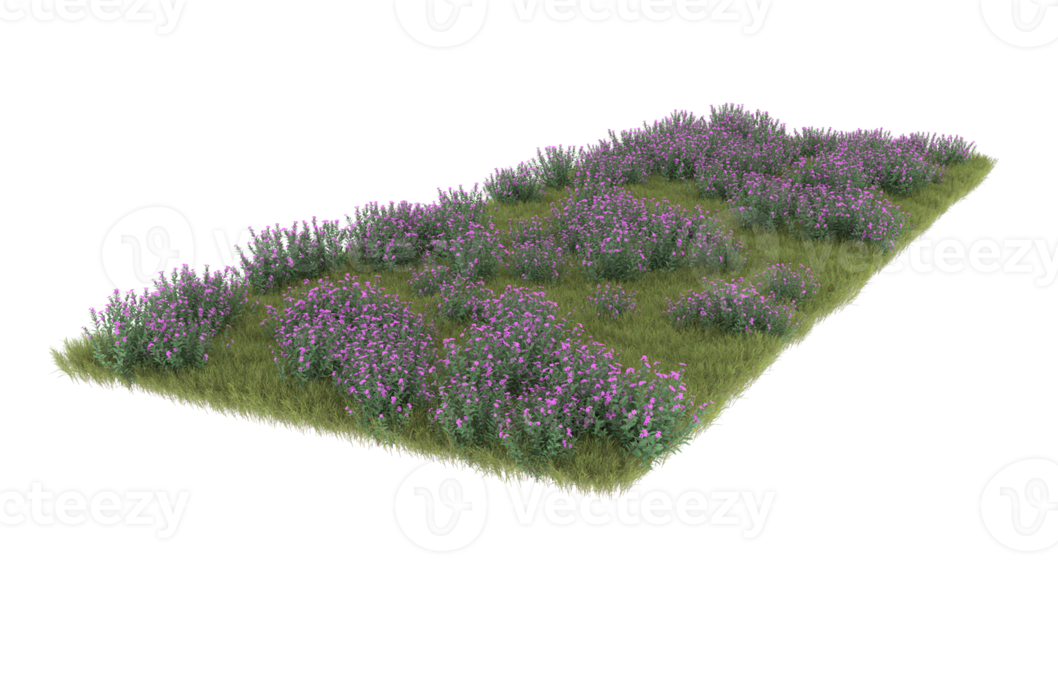 Realistic foliage isolated on transparent background. 3d rendering - illustration png