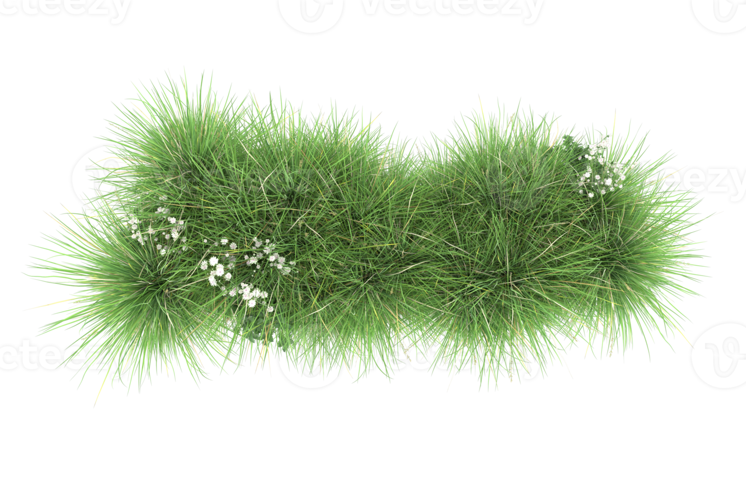 Realistic foliage isolated on transparent background. 3d rendering - illustration png