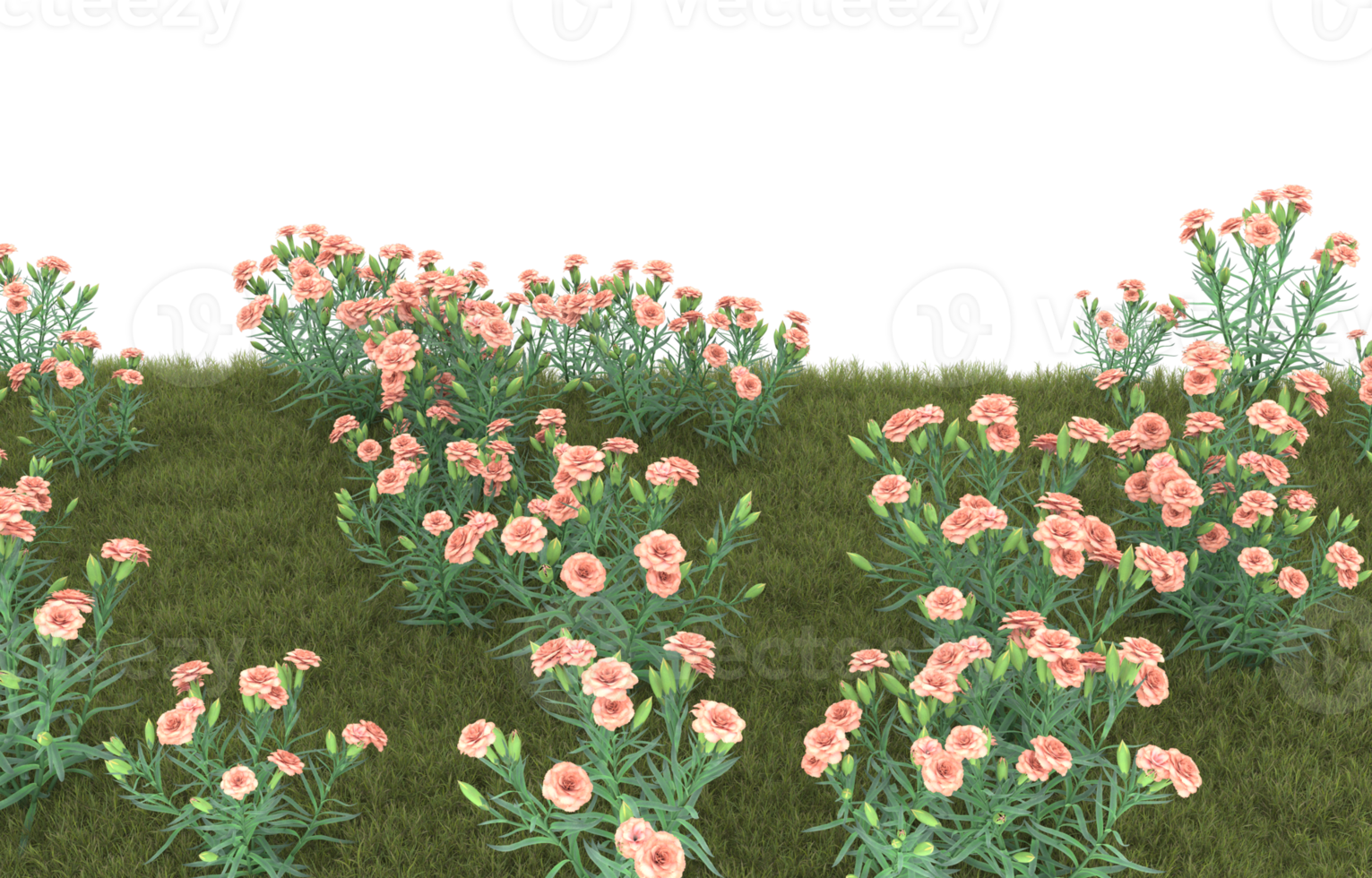 Realistic foliage isolated on transparent background. 3d rendering - illustration png