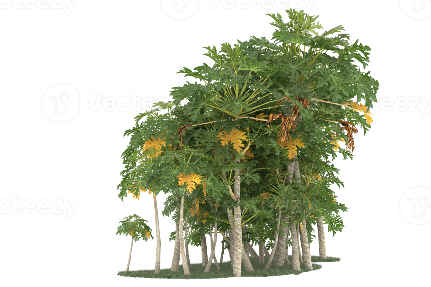 Realistic forest isolated on transparent background. 3d rendering - illustration png