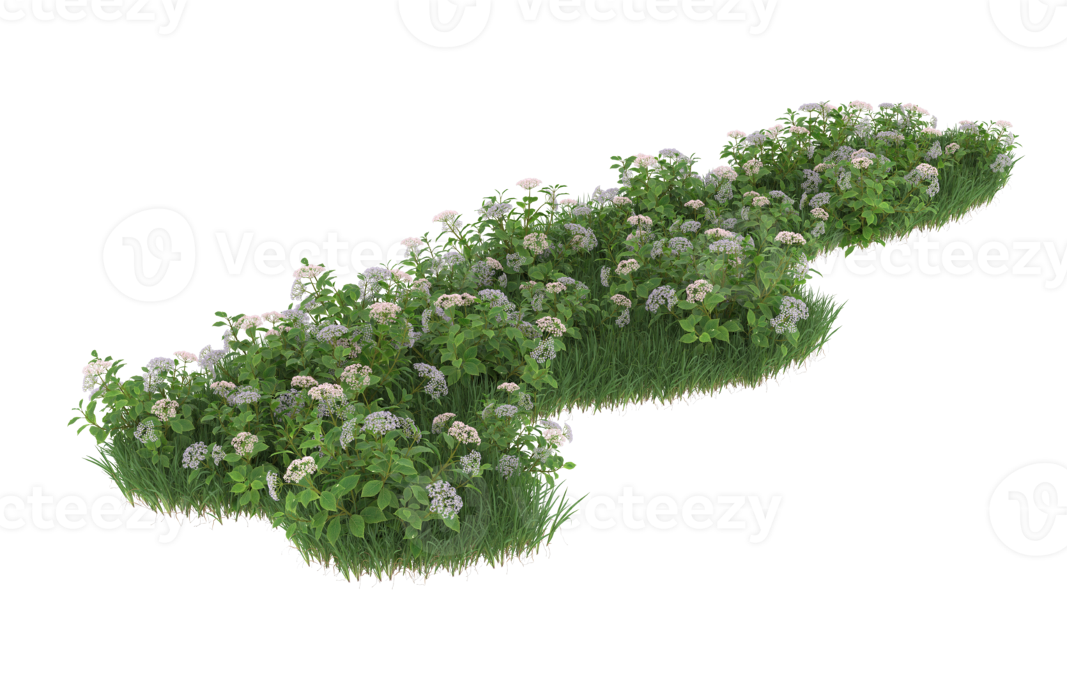Realistic foliage isolated on transparent background. 3d rendering - illustration png