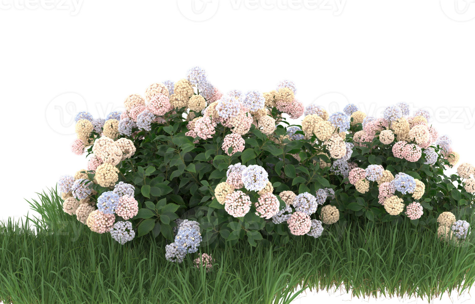 Realistic foliage isolated on transparent background. 3d rendering - illustration png