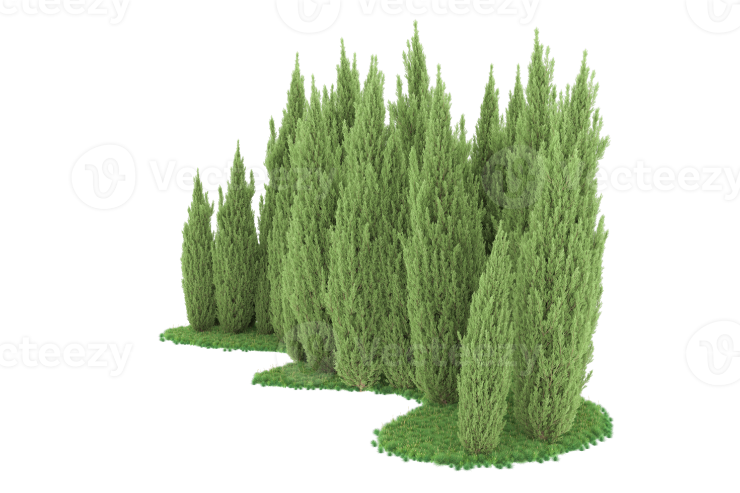 Realistic forest isolated on transparent background. 3d rendering - illustration png