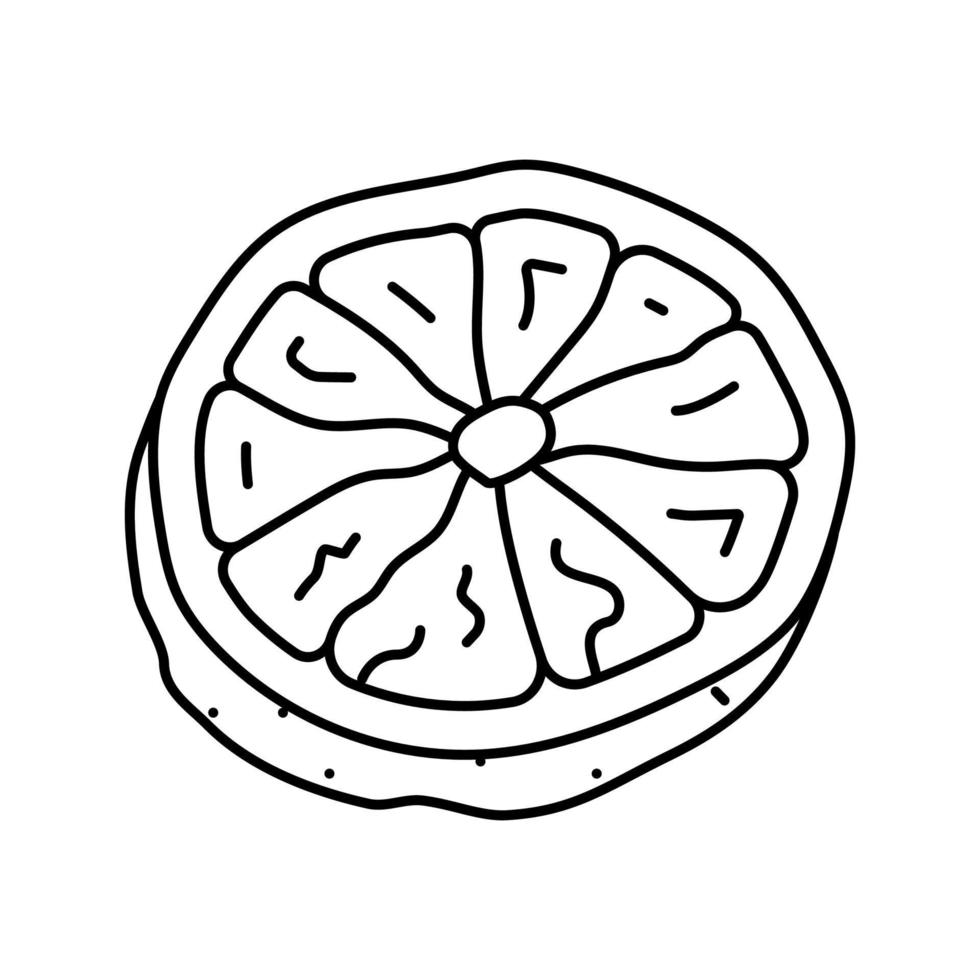 orange dried fruit line icon vector illustration