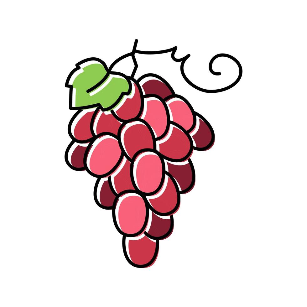 ilustración de vector de icono de color de racimo de uvas rojas