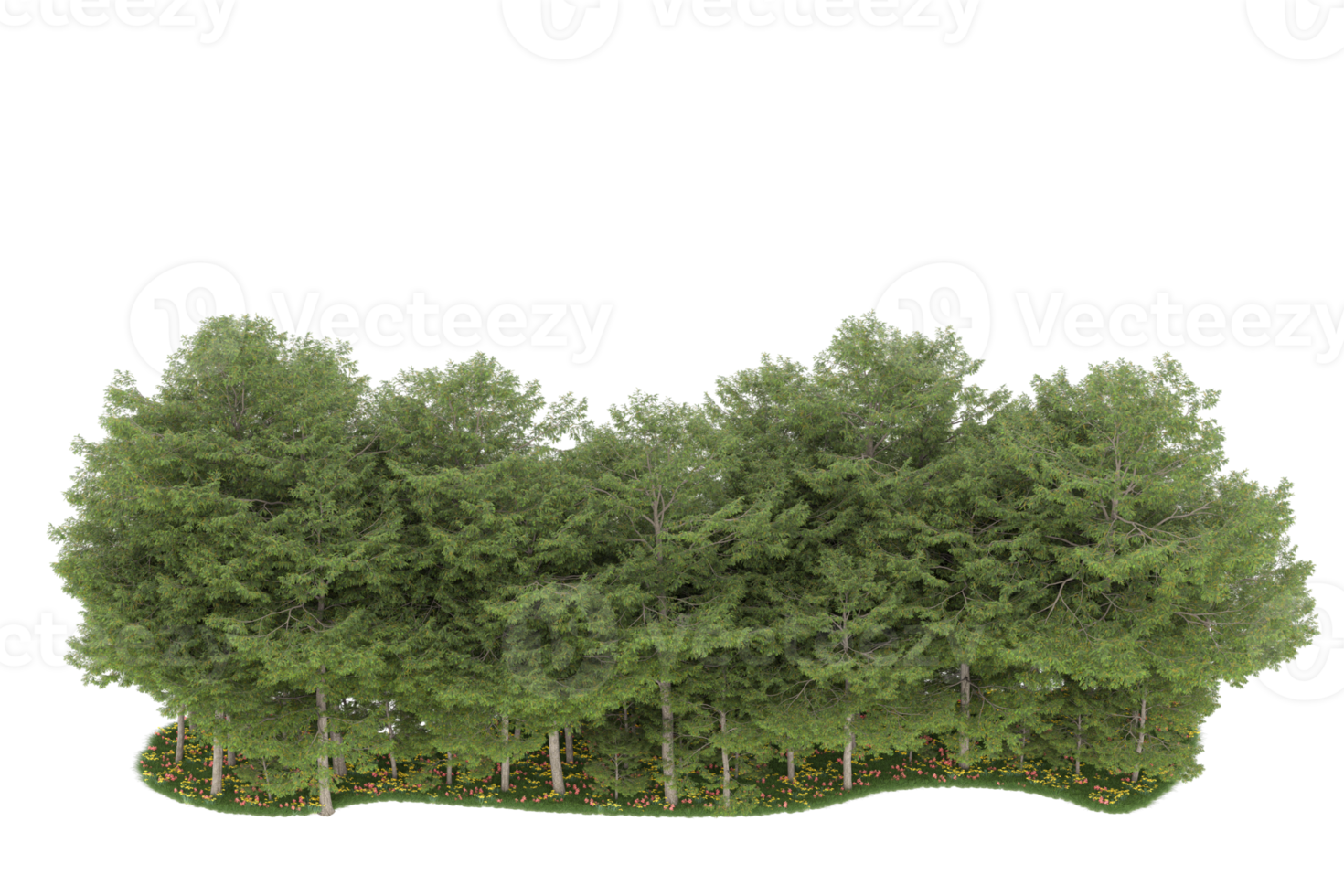 realistico foresta isolato su trasparente sfondo. 3d interpretazione - illustrazione png