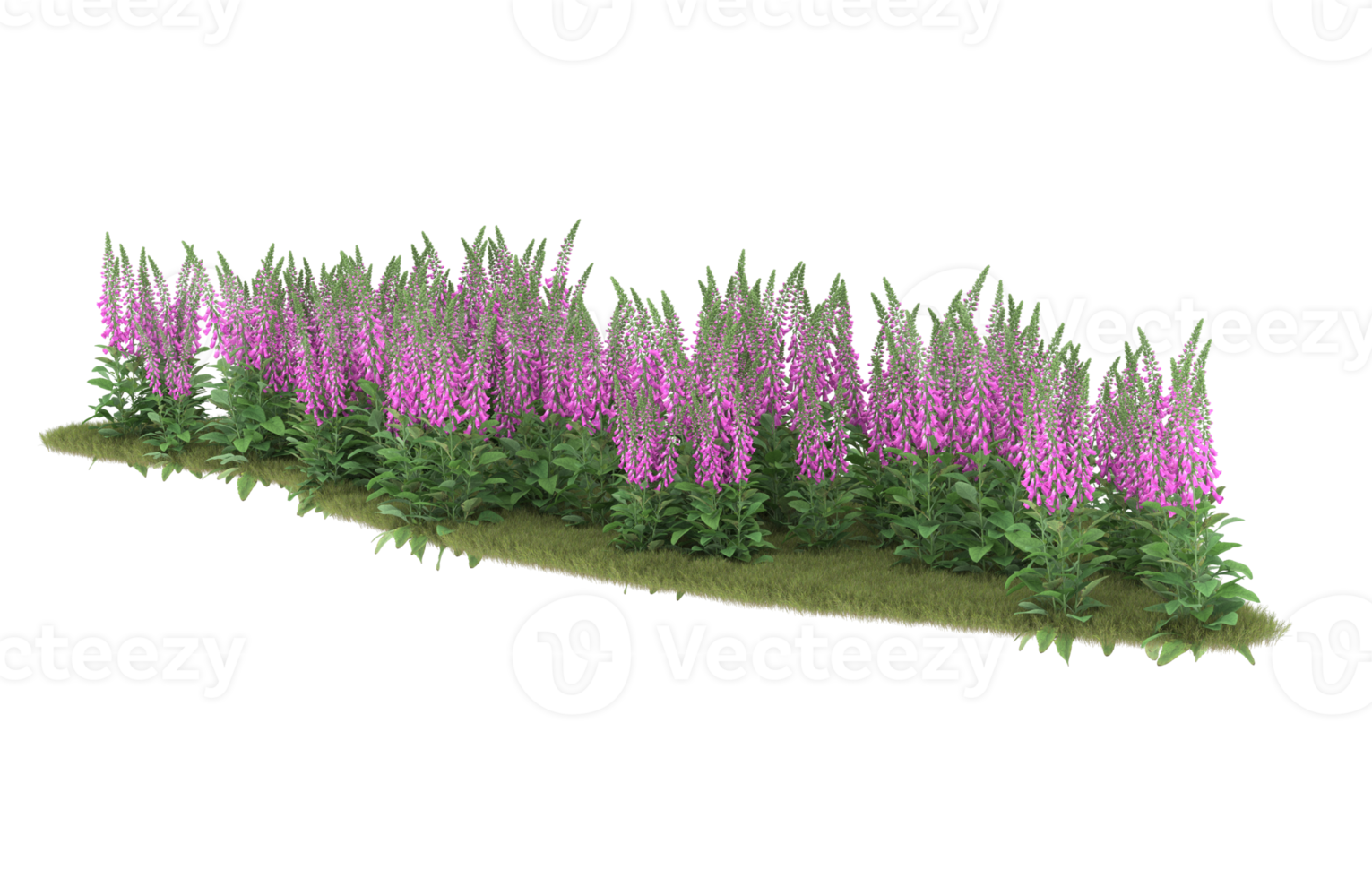Realistic foliage isolated on transparent background. 3d rendering - illustration png