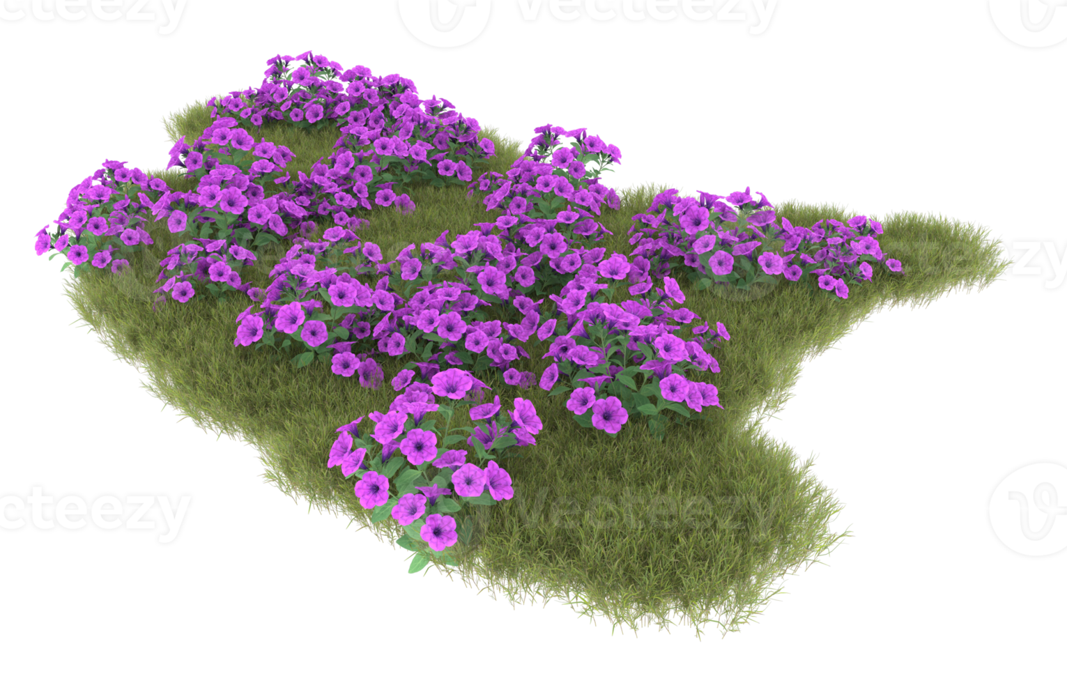 Realistic foliage isolated on transparent background. 3d rendering - illustration png