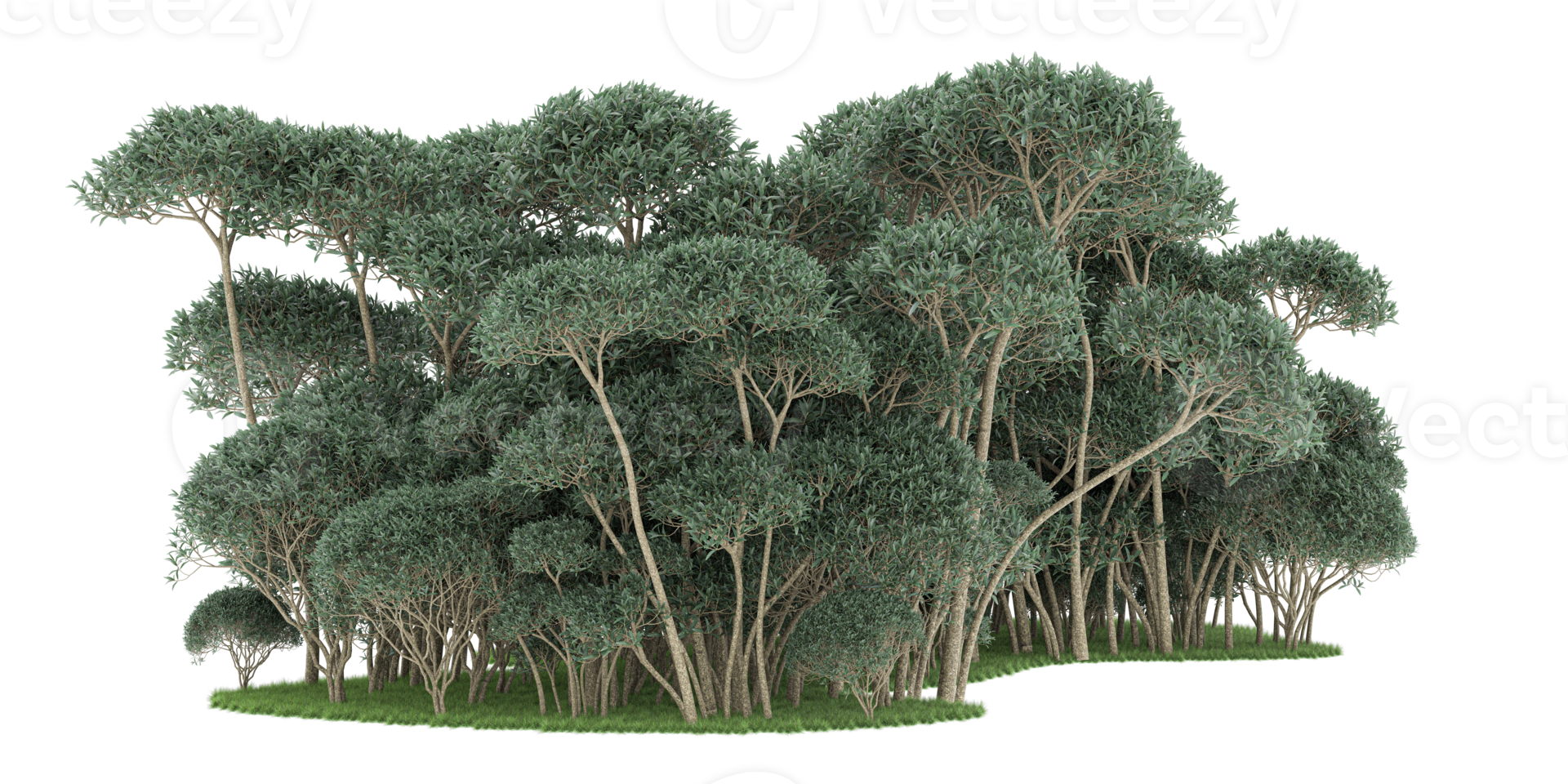 Realistic forest isolated on transparent background. 3d rendering - illustration png