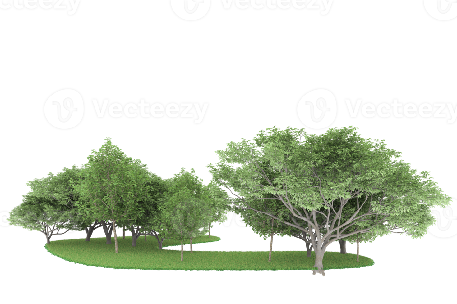 Realistic forest isolated on transparent background. 3d rendering - illustration png