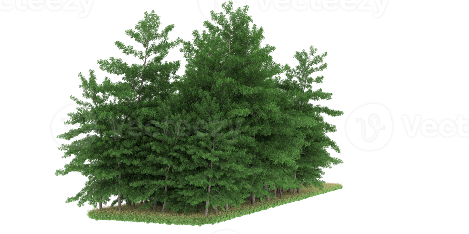 forêt réaliste isolée sur fond transparent. rendu 3d - illustration png