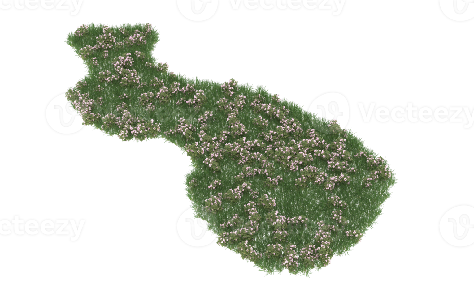 Realistic foliage isolated on transparent background. 3d rendering - illustration png