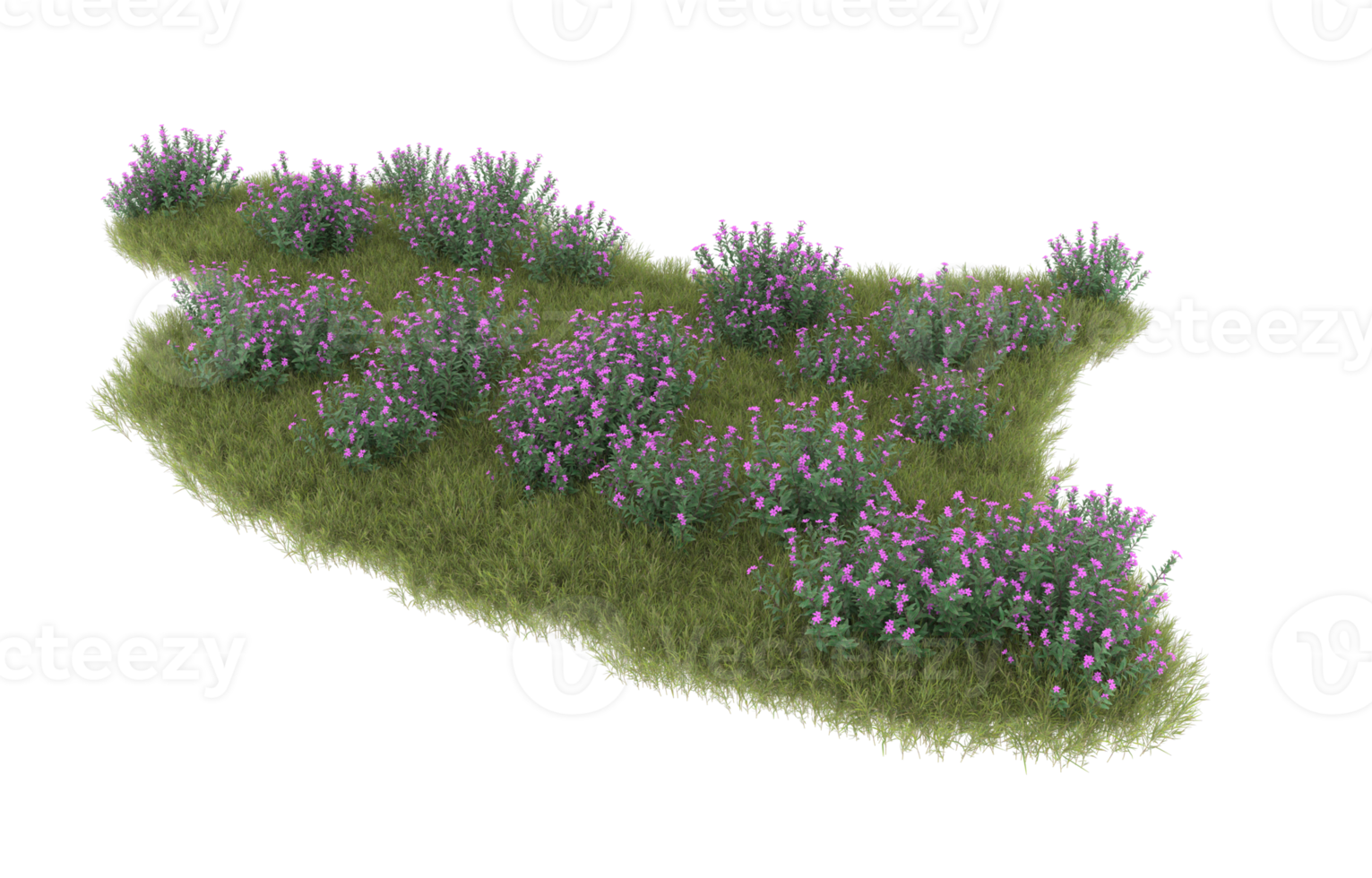 Realistic foliage isolated on transparent background. 3d rendering - illustration png