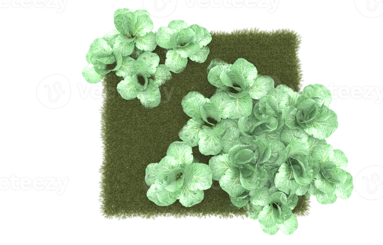 Realistic foliage isolated on transparent background. 3d rendering - illustration png