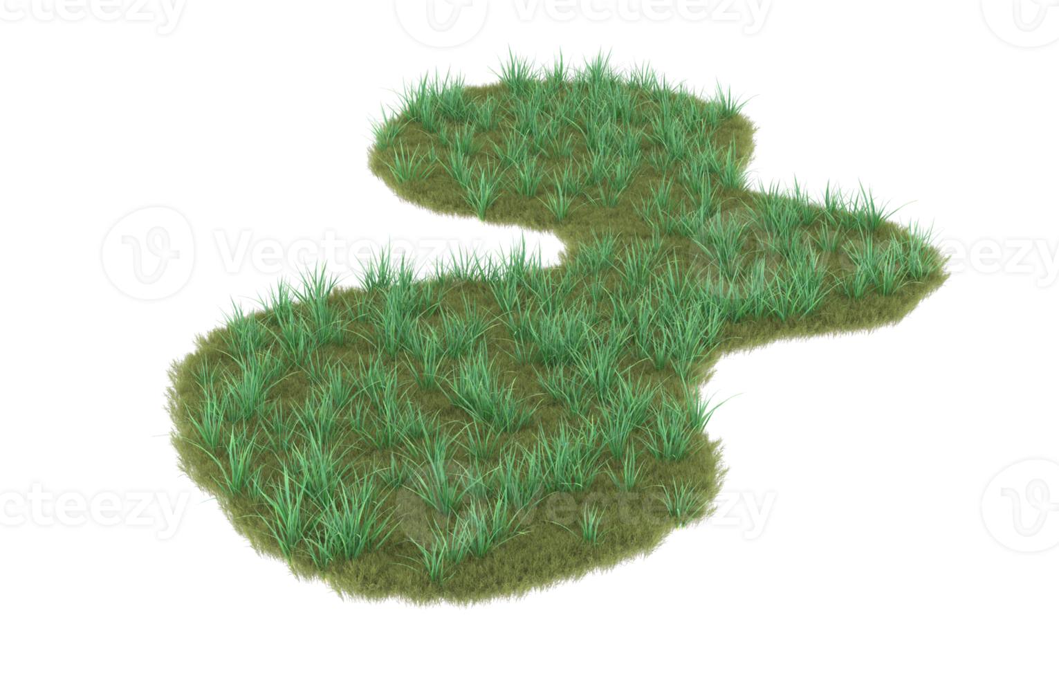 Realistic foliage isolated on transparent background. 3d rendering - illustration png
