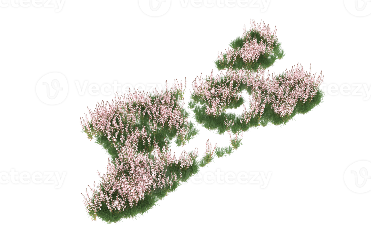 realistisk lövverk isolerat på transparent bakgrund. 3d tolkning - illustration png