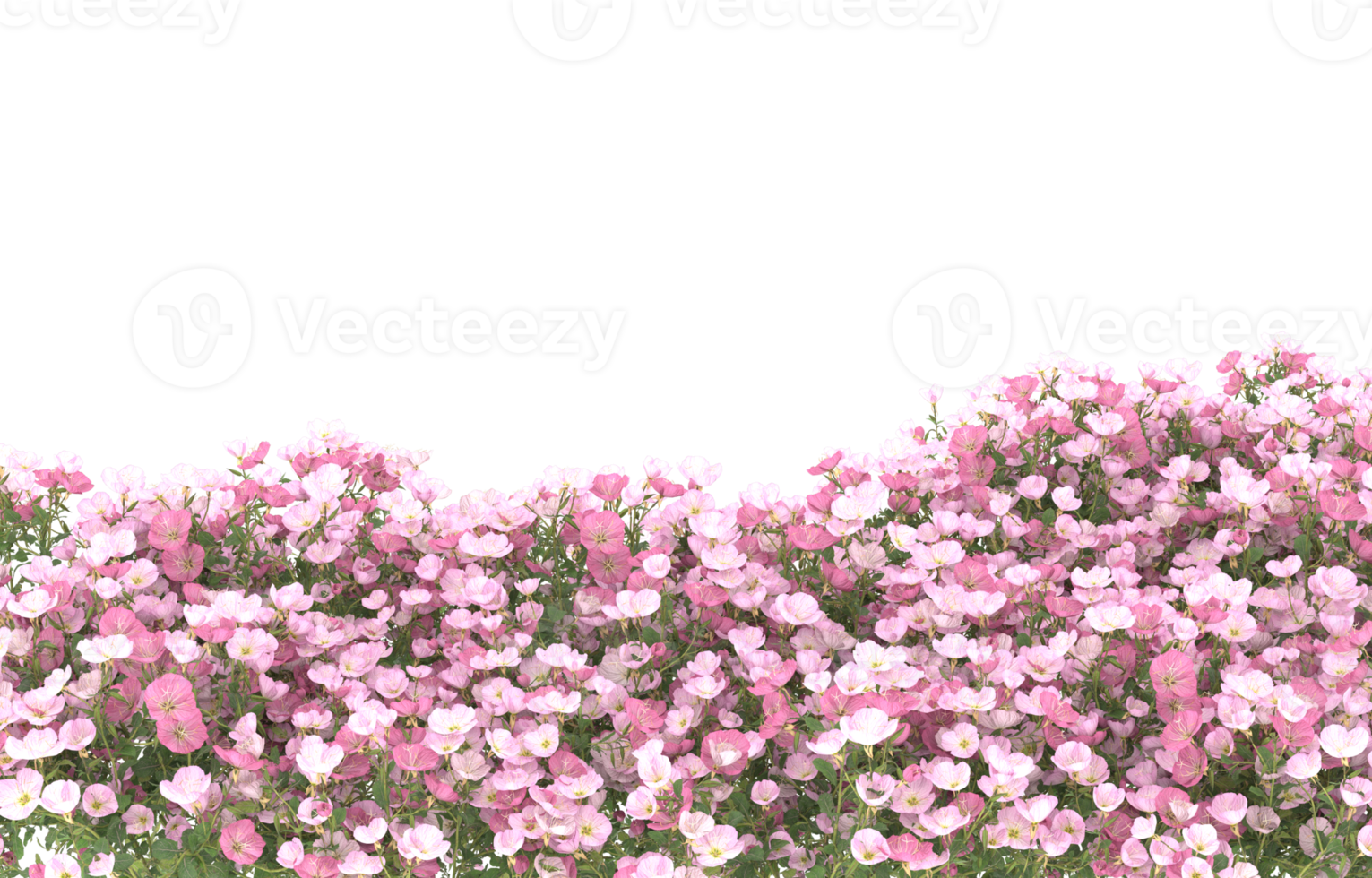 Realistic foliage isolated on transparent background. 3d rendering - illustration png