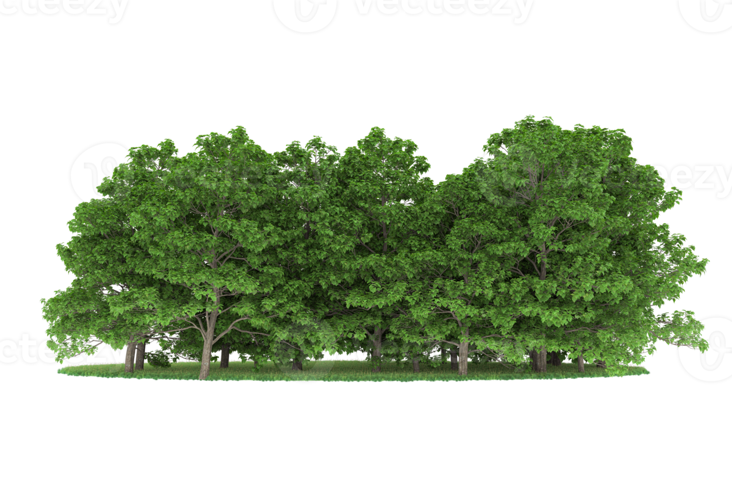 Realistic forest isolated on transparent background. 3d rendering - illustration png