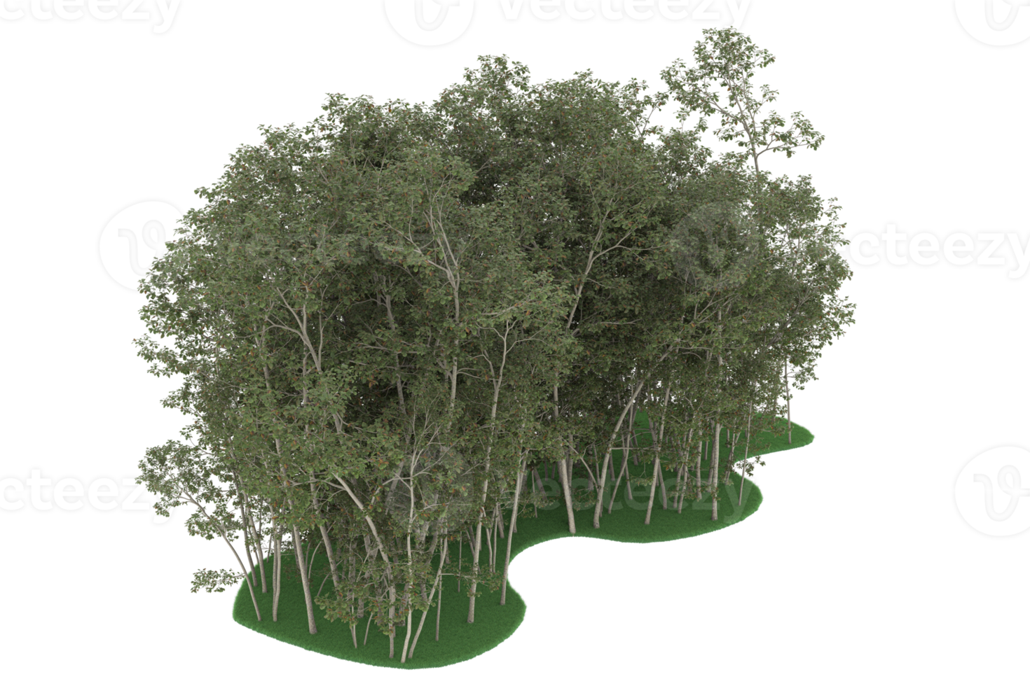 Realistic forest isolated on transparent background. 3d rendering - illustration png
